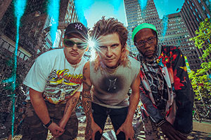 Too Many Zooz