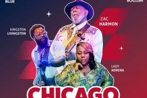 Chicago Blues Festival